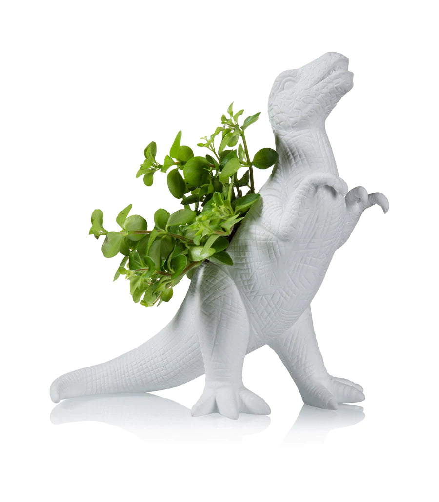Pot de fleurs Plantosaurus Rex