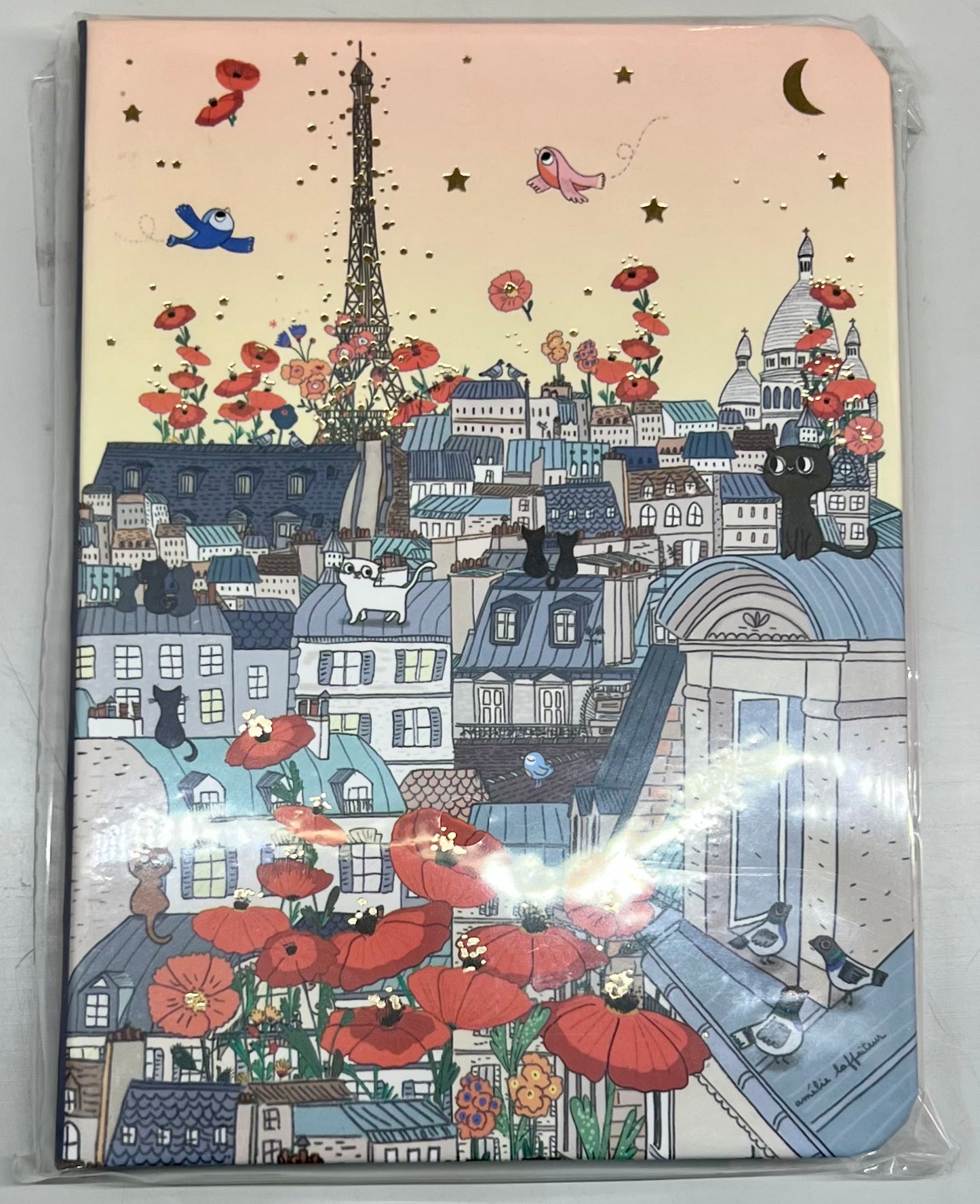 Carnet Paris