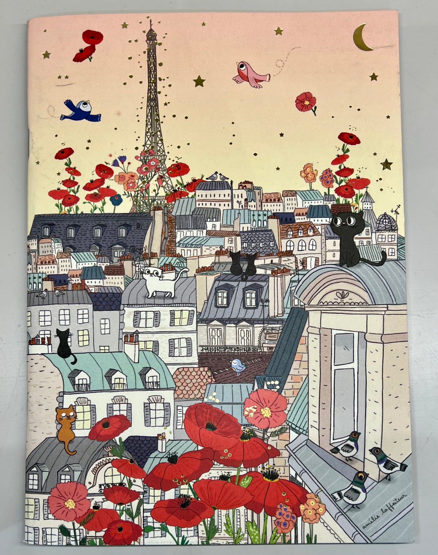 Cahier Paris et ses Toits