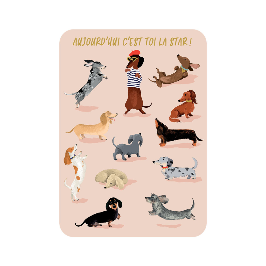 Carte postale illustrée – Messages & occasions