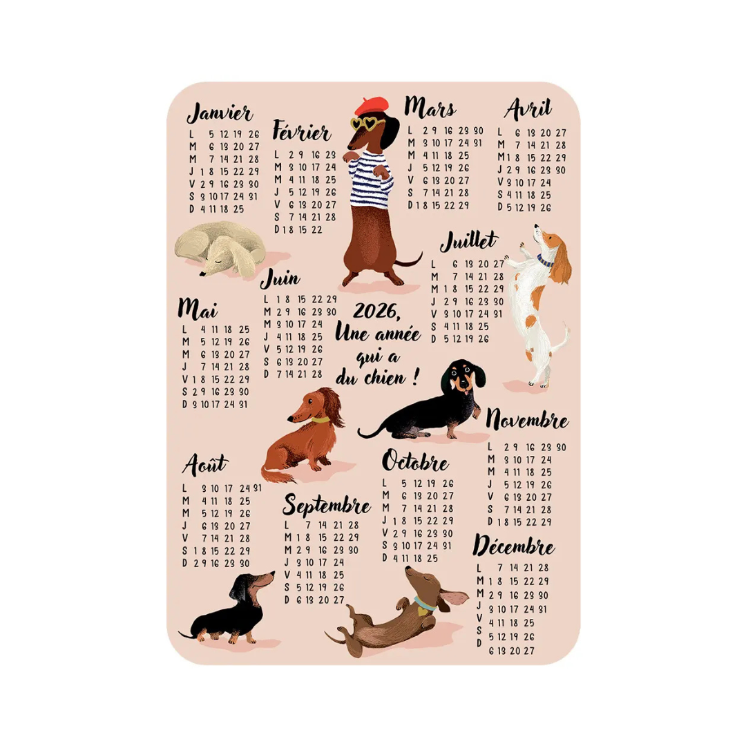 Carte postale illustrée – Messages & occasions